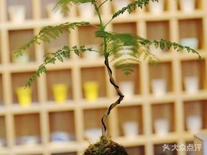 Fuhui She Meeting and Embracing Vegetarian Noodles and Buns