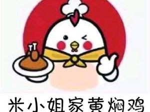 Miss Mi's Braised Chicken