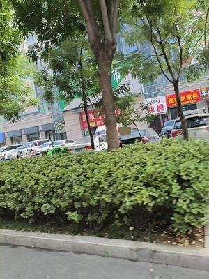 Bai Wei Fu Delicacies (Zhongjiao Central Park Phase III Branch)