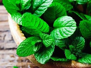 Chen Tao Oven Bun (TaiDong Store)