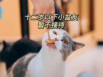 June Cat Cafe · British Shorthair Breeding Farm