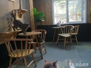 Coffee Cat Cat Café Milk Tea (Fengsheng Road Store)