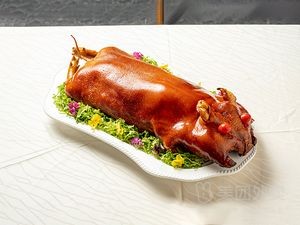 Yuan Da Han Roast Chicken, Roast Suckling Pig, Roast Whole Lamb (Tai Dong Branch)