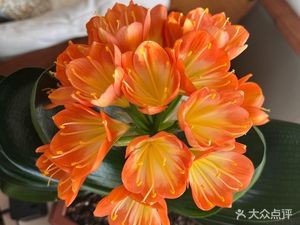 Bamboo Forest Music Restaurant