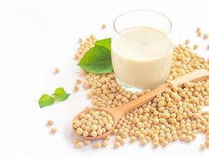 Cui's炉包 (Jimo Store)