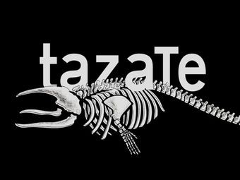 TazaTe Earth Tea Field – Drink Fermented Tea, Eat Yunnan Cuisine (GT PLAZA Branch)