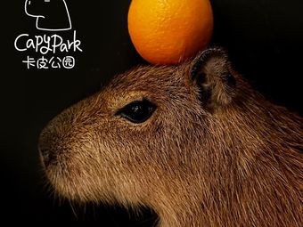 Capy Park