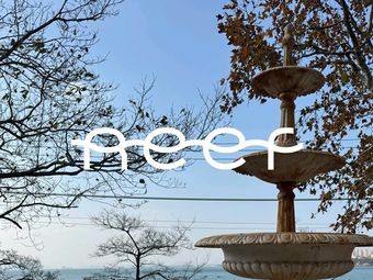 Reef Coffee · Bayi Guan