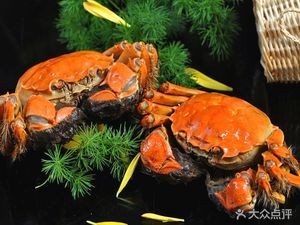 Zhoujie Seafood Specialties Private Kitchen (Qingdao Huiquan Commercial Plaza Branch)