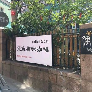Wangyu Cat Coffee Shop