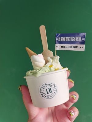 Miao You GELATO Italian Ice Cream