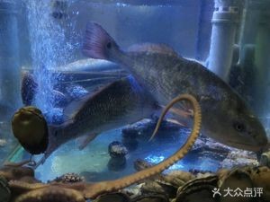 刘记海鲜大咖