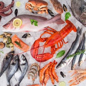 Yuegang Seafood · Qingdao Cuisine · Balyu Dumplings (Qidunshan Road Branch)