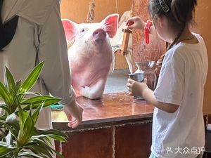 Guo QiQi Piglet Yard