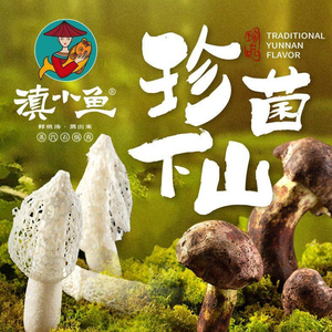 Dian Xiao Yu · Wild Mushroom Hot Pot from Yunnan (Shanghang Road Branch)