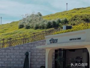 Once Coffee & Store