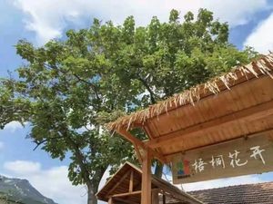 Wutong Flowers Opened Farmhouse Courtyard