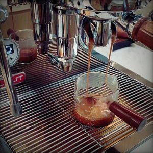 Holiday Plus + Coffee Bar