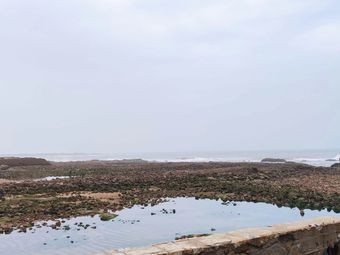 Lianxin Fish Harbor (Huangdao Store)