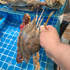 Qingdao Huangdao He Kang Yuan Seafood Restaurant