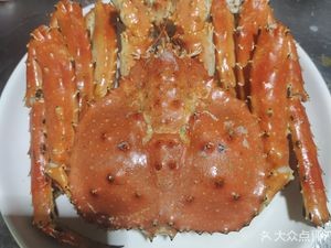 No.8 Shrimp Emperor