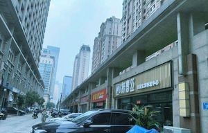 Fresh Noodle House Big Beef Noodles