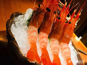 Sunxi Sushi & Japanese Cuisine