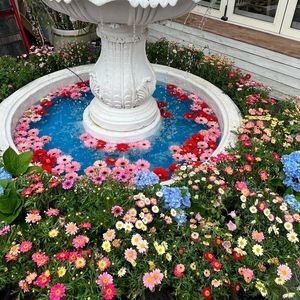 Xiuer's Little Happiness Garden Western Restaurant