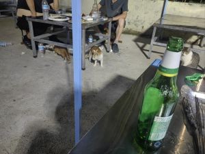 Shun Xin Xiao Guan (Barbecue & Home-Style Cuisine)