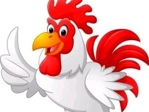 Yellow Braised Chicken Rice (Lizhanggui Minghu Branch)