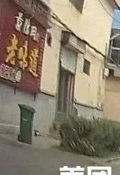 Old Taste Sour Fish with Pickled Mustard Greens