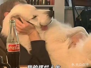 Yang Ji Ba Zi Rou (Yingxiang Jinan Branch)