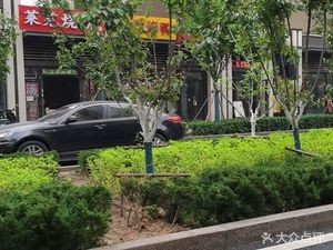 Laiwu Baozi (Oty Zhonglu Store)