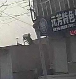 Yuanfang Special Stir-Fried Chicken