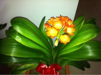 Eat Once Specialties Restaurant