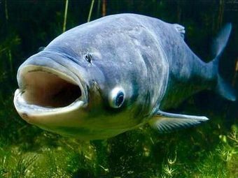 Gao Laozhuang Small Bowl Dishes (Taihu Branch)