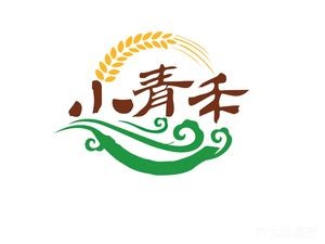 Qinghe Wraps King (Wobao Store)