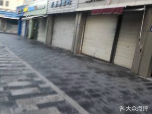 Wang Ji Chicken Strip Baozi (Songshan Road)