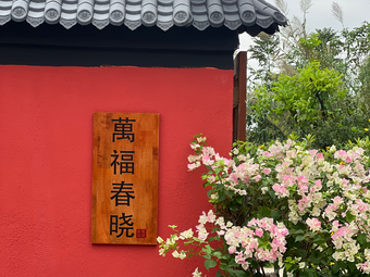 Wanfu Chunxiao · Suzhou Afternoon Tea