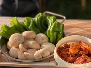 Go Wild Camping & Coffee