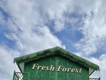 Breath Forest (Hengjing Store)