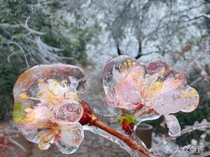 Fuyang Beef Soup Carbon Pot Lamb (Wangshan Store)
