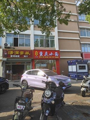 Yu Lao Mei Chongqing Noodles