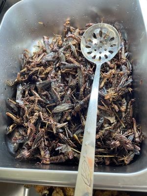 Xuzhou Earth Pot Chicken · Barbecue
