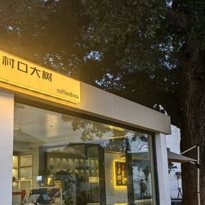 Village Gate Tree Coffee