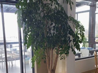 Banmu Lake · Lakeside Restaurant