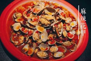 Ma Dashuai Homestyle Cooking
