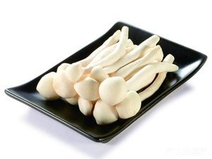 Cai Laobao (Xin Su Farmers Market Branch)