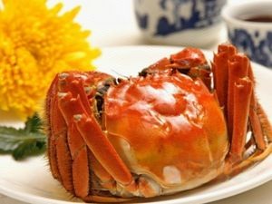 Chun Xun Restaurant (Zhujiang Road Branch)