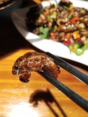 Pizhou Home (Chunhui Road Store)